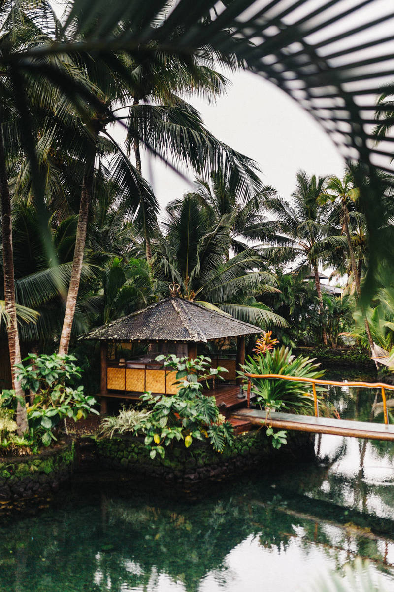 Should Older Adults Regularly Check their Blood Pressure?